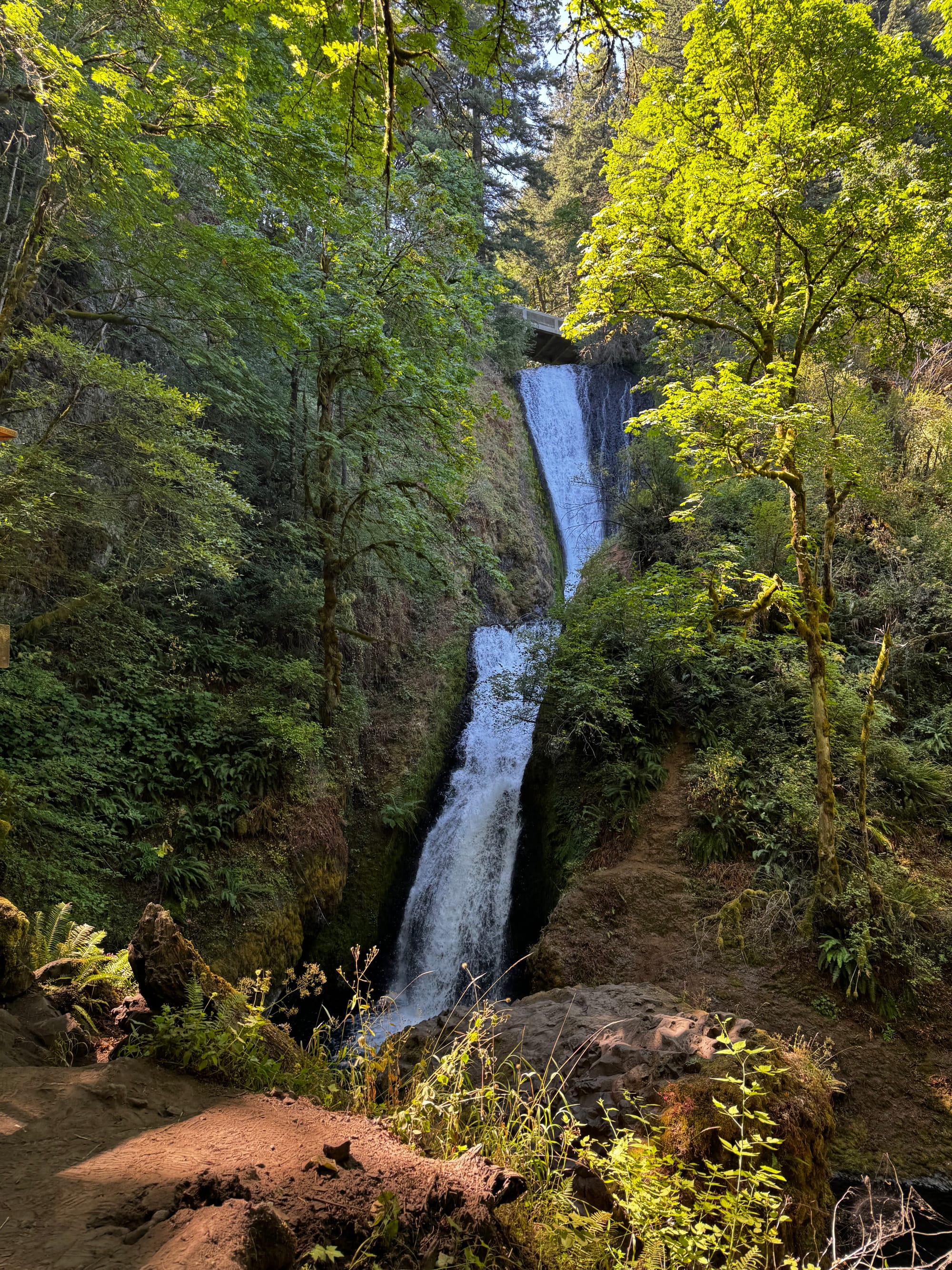 California Tribal Water